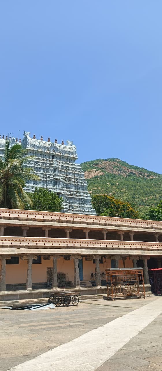 Tiruvannamalai Spiritual Journey